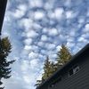 seattle_mb